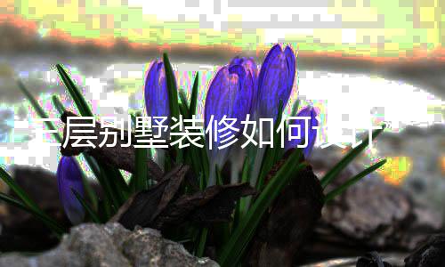 别墅修风三层设计 三墅装装修如何格层别