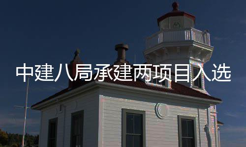 八局目入s摩选20年两项楼奖两个天大中建 中国仅承建